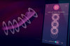 Crescendo 2 Vibrating Device