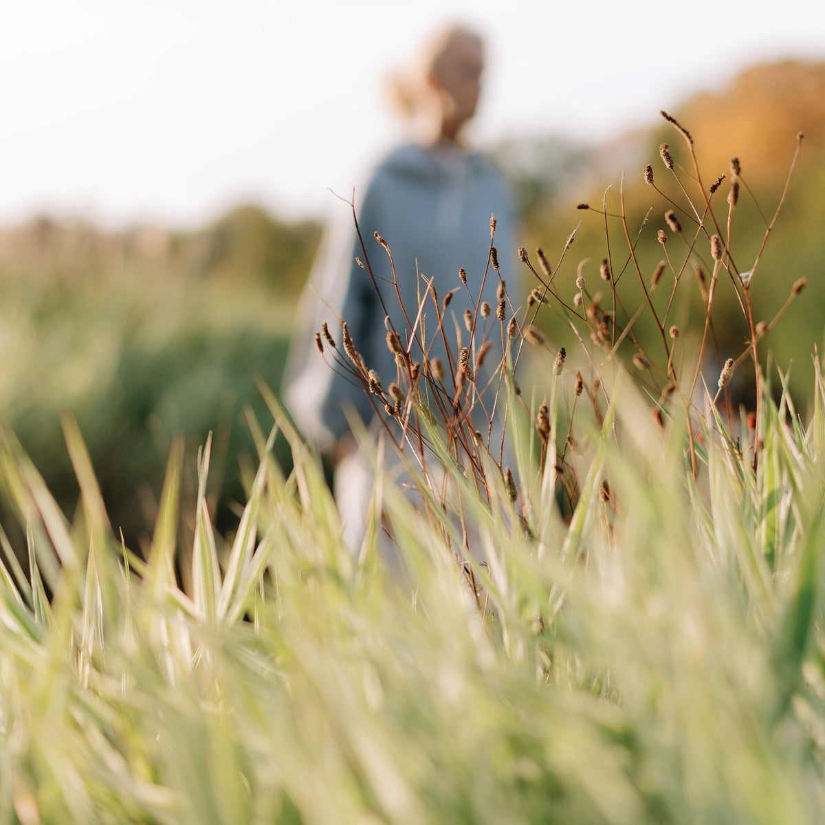 Menopause and Allergies: Understanding the Connection