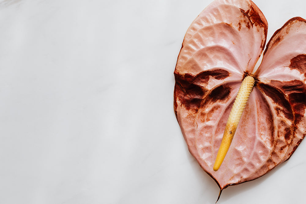 What Causes Vaginal Dryness?