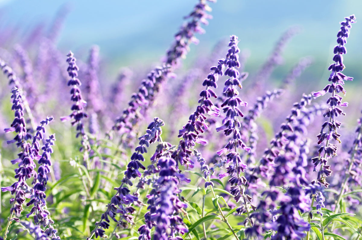 Identifying and Changing Menopause, Your Way